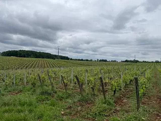 Chaintré 71570 Programme neuf maison neuf à vendre 5 pièces