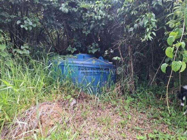 Chales a venda em Santo Antônio do Pinhal