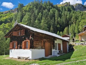 Chalet 3.5 pièces à Savièse