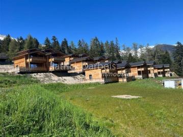 Chalet 3.5 Zimmer in Anzère