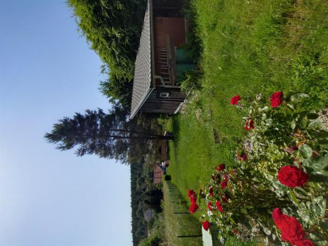 Chalet 24m² Oberhaslach