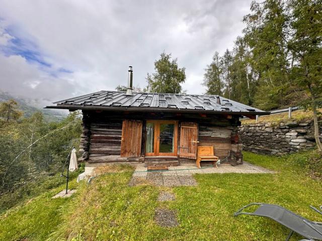 Chalet 2.5 Pièces