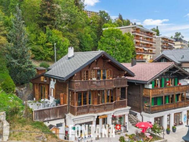 Chalet 5.5 Zimmer
