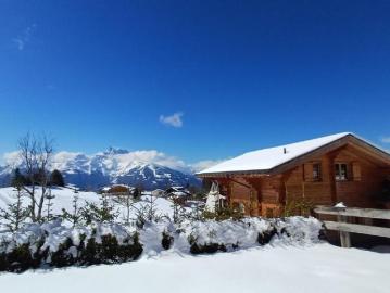 Chalet 6.5 Zimmer