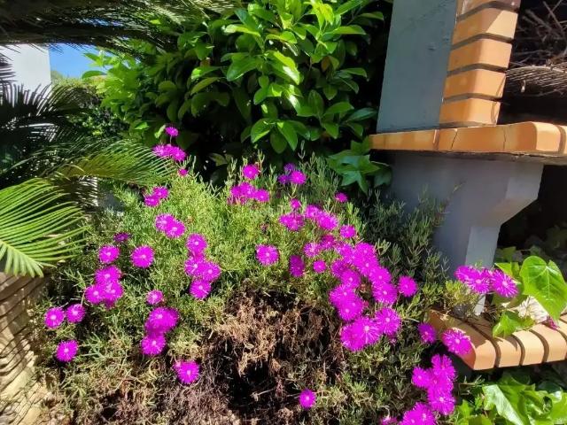 Chalet con jardín en alquiler en Carrer Selva 1