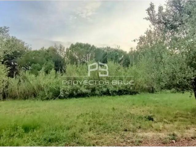 Chalet con jardín en alquiler en Collbató