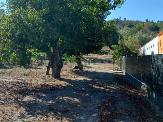 CHALET CON JARDIN, FINCA Y NAVES