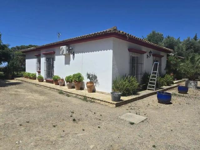 Chalet con piscina en alquiler en Avenida del Serrallo