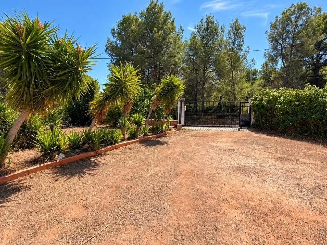 CHALET CON PISCINA Y AMPLIA PARCELA EN ESTIVELLA