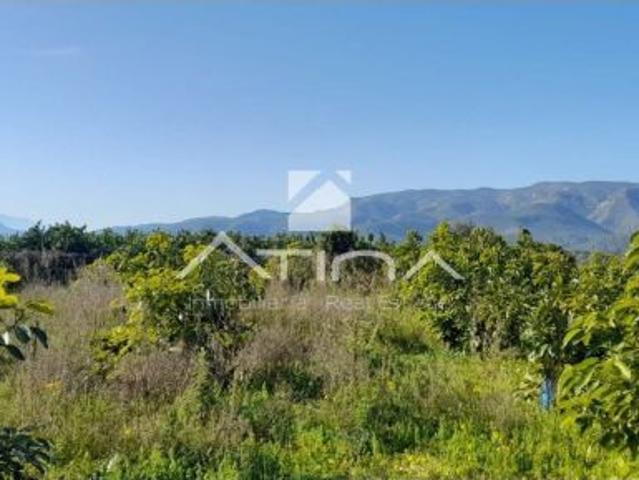 Chalet con 7 anegadas rodeado de naturaliza situado en Gandia zona Marxuquera
