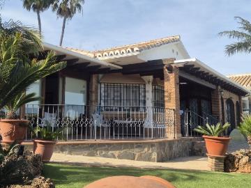 Olivar, Málaga, Málaga, Andalucía, Andalucía