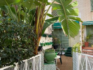 Calle Elisa Tomás Just, Cabo de la Huerta, Alicante, Vista Hermosa de la Cruz, Alicante, Comunidad Valenciana, Comunidad Valenciana