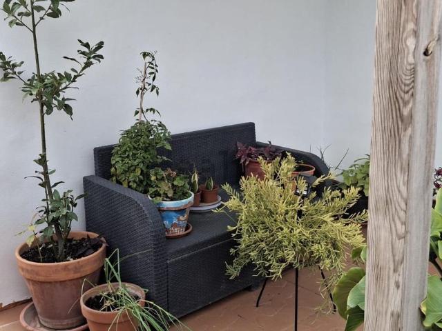 Chalet, Callosa d&apos En Sarria