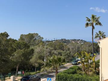 Calle de la Via del Rey Fernando de Aragón, Galatzó, Mallorca, Islas Baleares