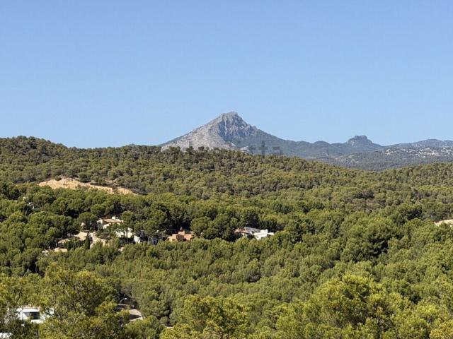 Chalet, Calvià