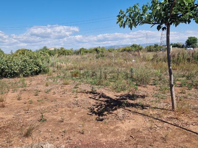 Chalet, Castellón de la Plana / Castello de la Plana