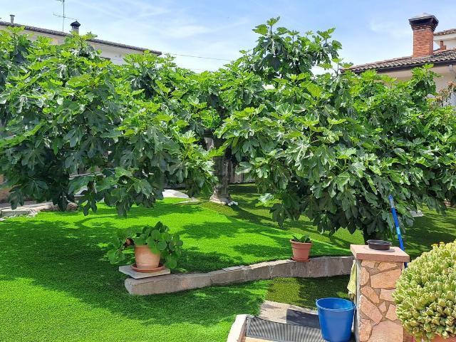 Chalet, Castellbisbal