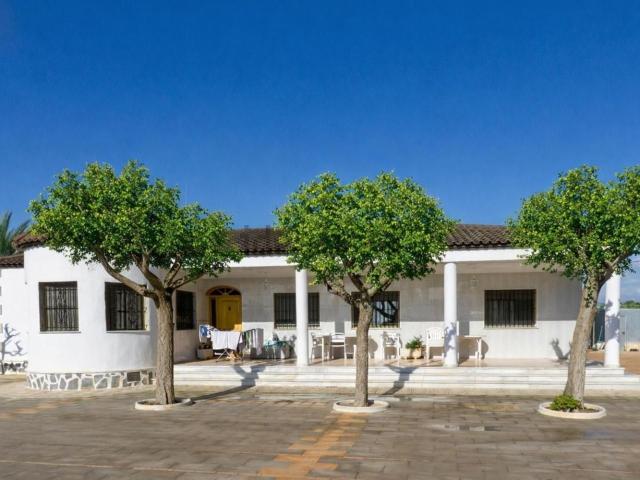 Chalet, Crevillente