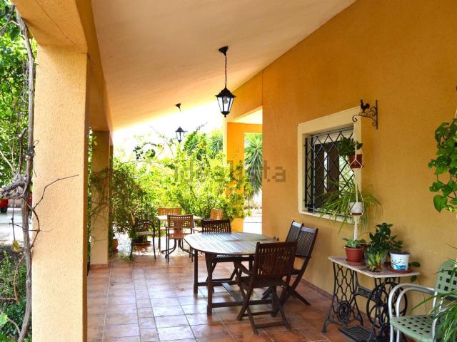 Chalet, Crevillente