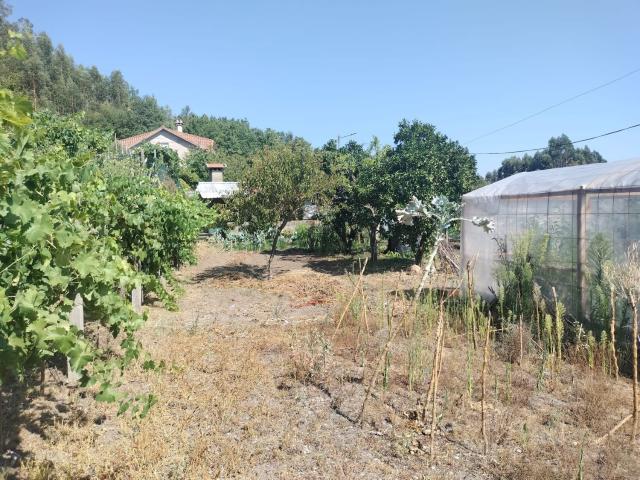 Chalet, A Cañiza