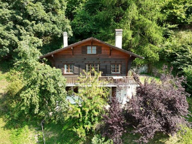Chalet à Isérables dans un havre de paix !