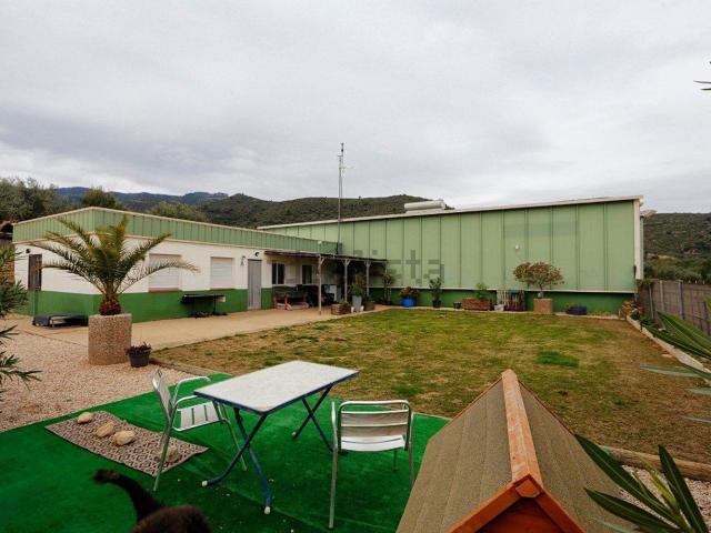 Chalet, Amposta