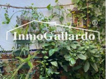 Chalet adosado Venta Málaga Capital, Capuchinos La Goleta El Molinillo Segalerva