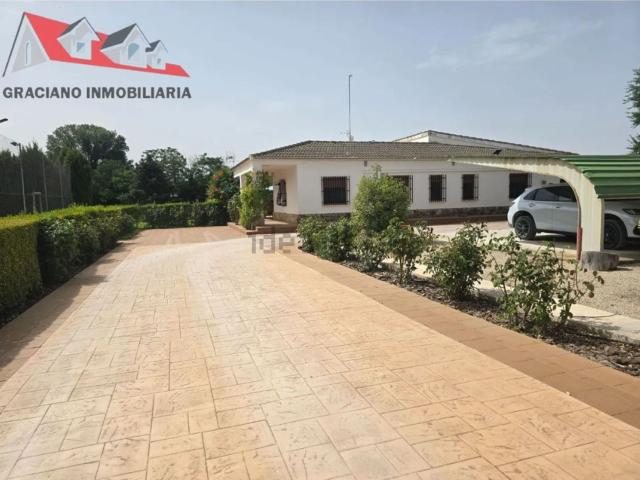 Chalet, Albacete