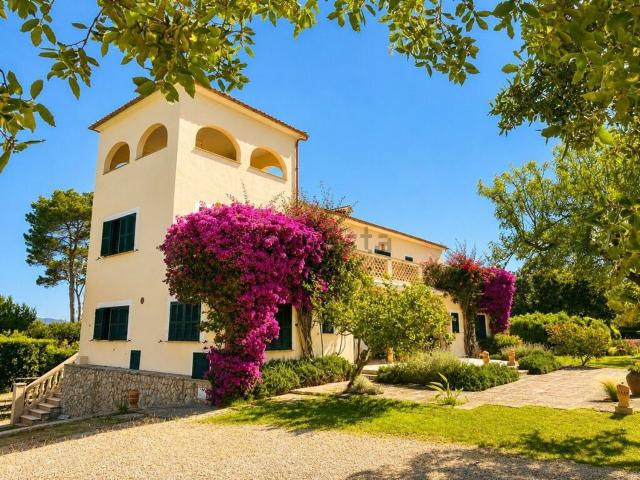 Chalet, Alcúdia