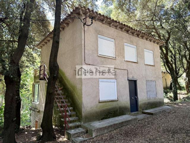 Chalet, Alfara de Carles