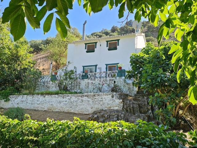 Chalet, Algarinejo