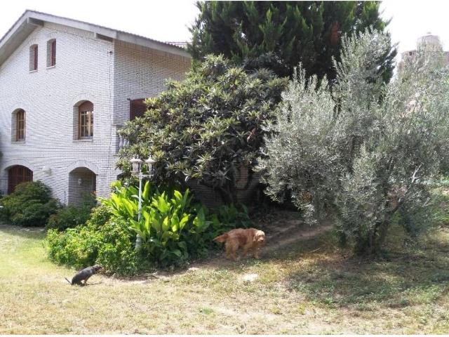 Chalet, Almenar