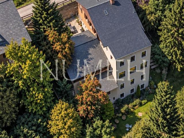 Chalet, Alp