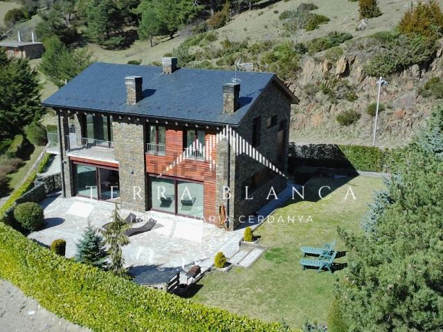 Chalet, Alp