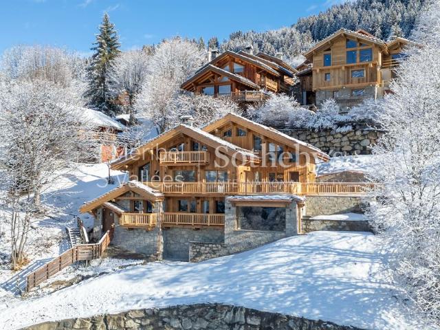 Chalet Alpine Roc Vues dégagées sur les montagnes et piscine entièrement rénovée