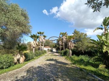 Campo de Gibraltar, Cádiz, Andalucía, Andalucía