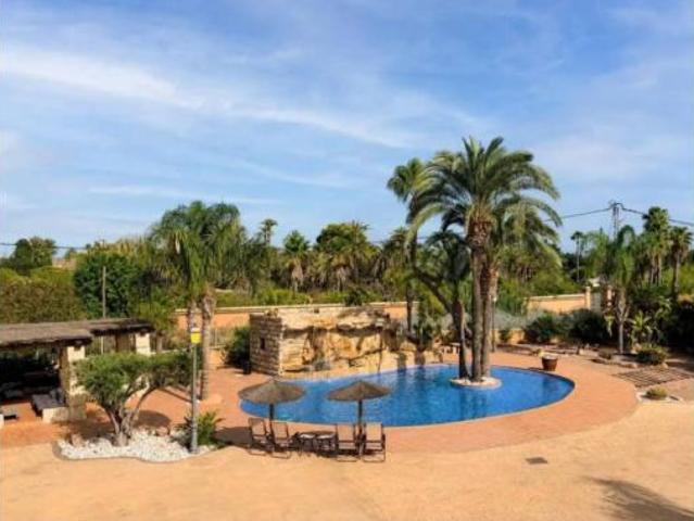 Chalet Alquiler Elx Elche, San Antón El Palmeral