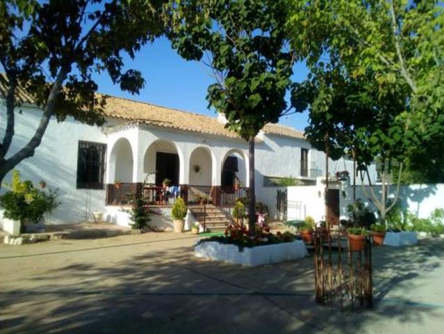 Chalet Alquiler Lucena, Lucena