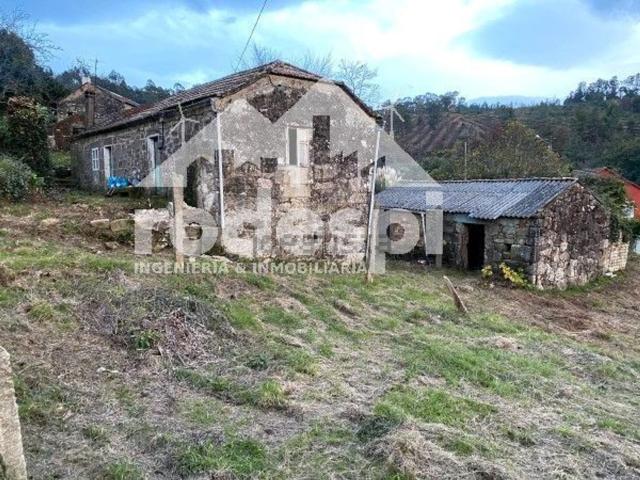 Chalet, Arbo