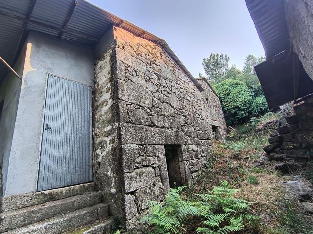 Chalet, Arbo