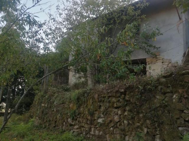 Chalet, Arbo