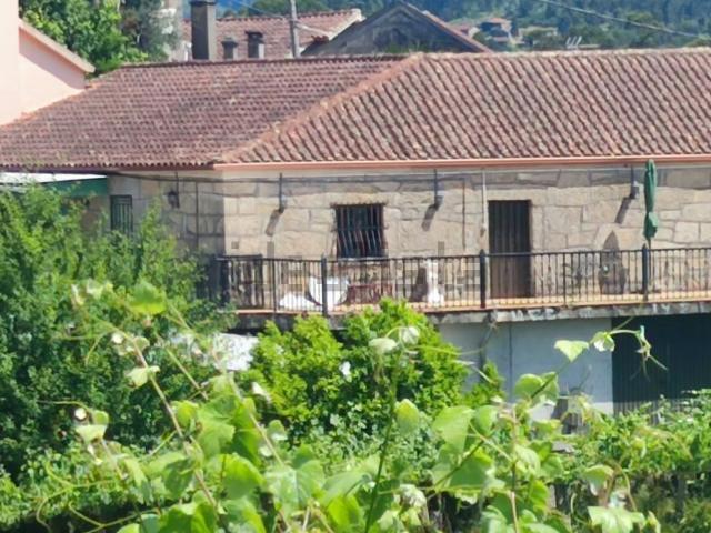 Chalet, Arbo