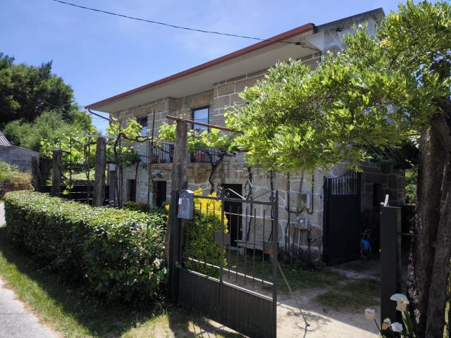 Chalet, Arbo