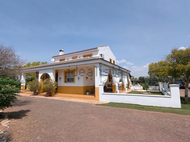 Chalet, Argamasilla de Calatrava