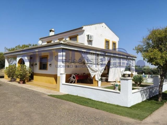 Chalet, Argamasilla de Calatrava