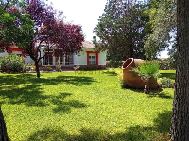 Chalet, Argamasilla de Calatrava