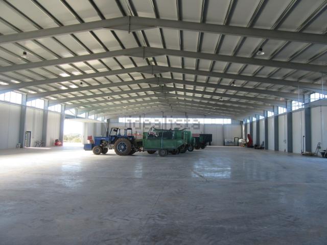 Chalet, Argamasilla de Alba