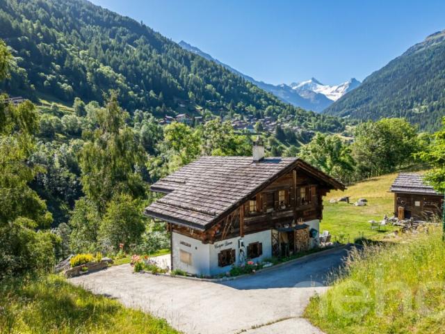 Chalet authentique avec dépendance de charme