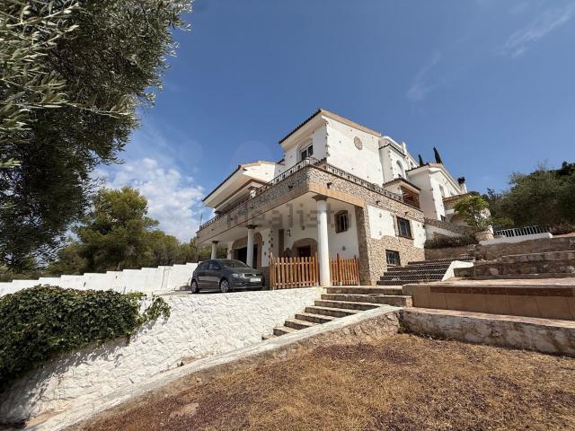 Chalet, Borriol