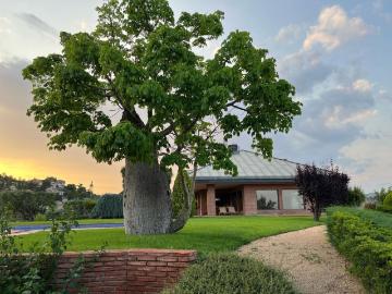 Chalet, Bigues i Riells